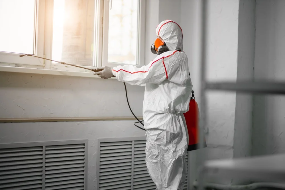 Professional mold remediation services in Peachtree City, GA